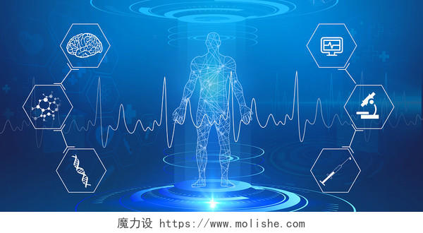 蓝色简约科技医学人体结构心电图展板背景医疗实验背景